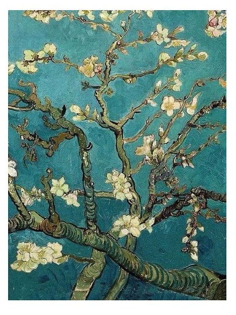 Майстер-клас "Ван Гог" - фото Майстер-клас "Ван Гог" - фото