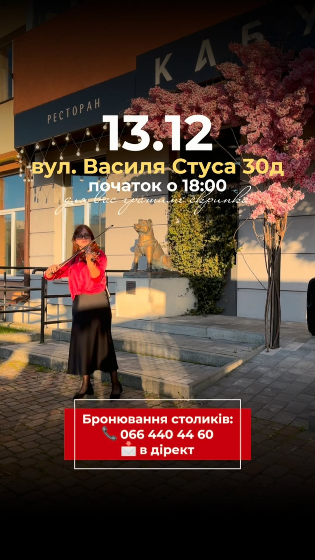 Вечір живої музики - фото Вечір живої музики - фото