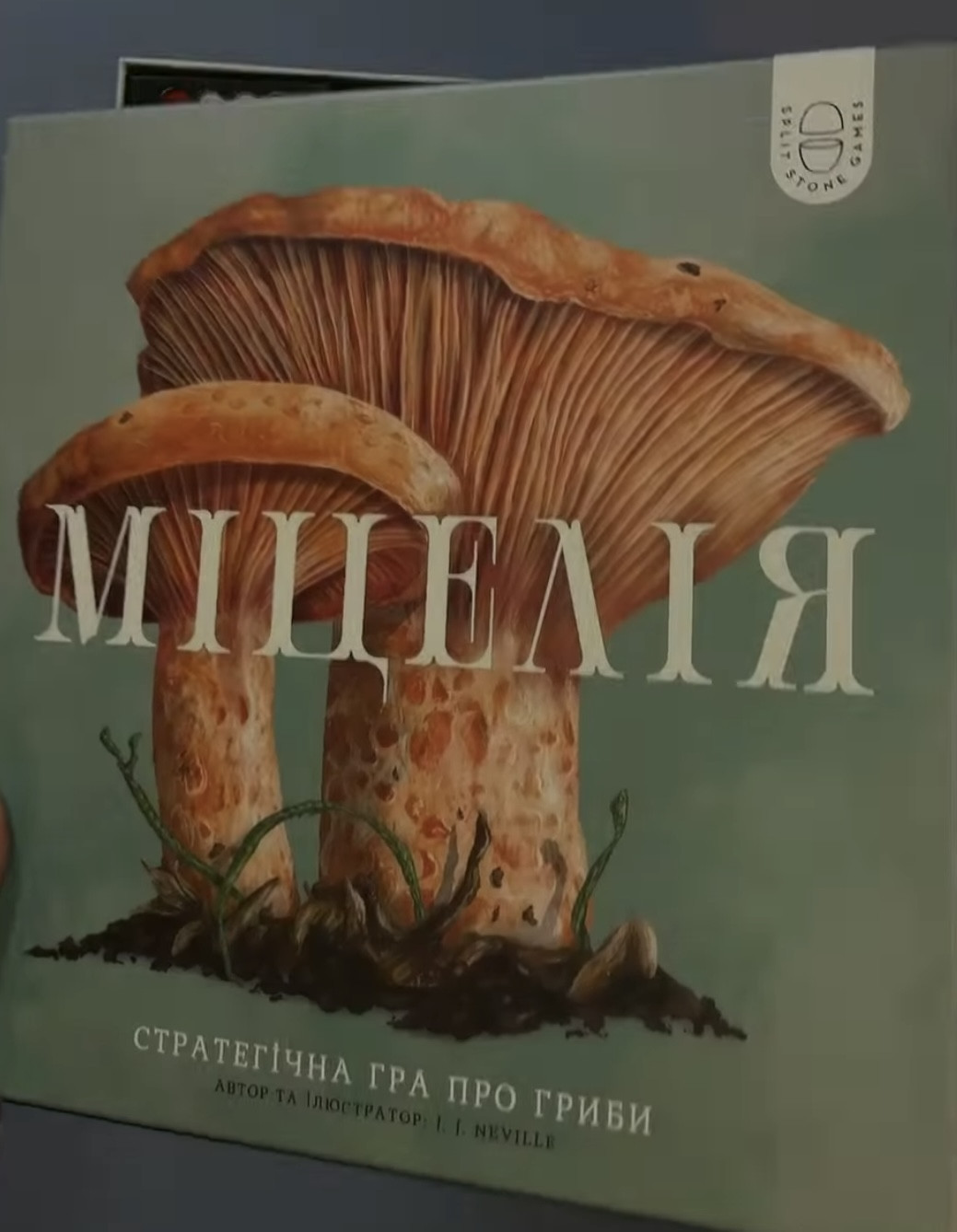 Гра "Міцелія" - фото Гра "Міцелія" - фото
