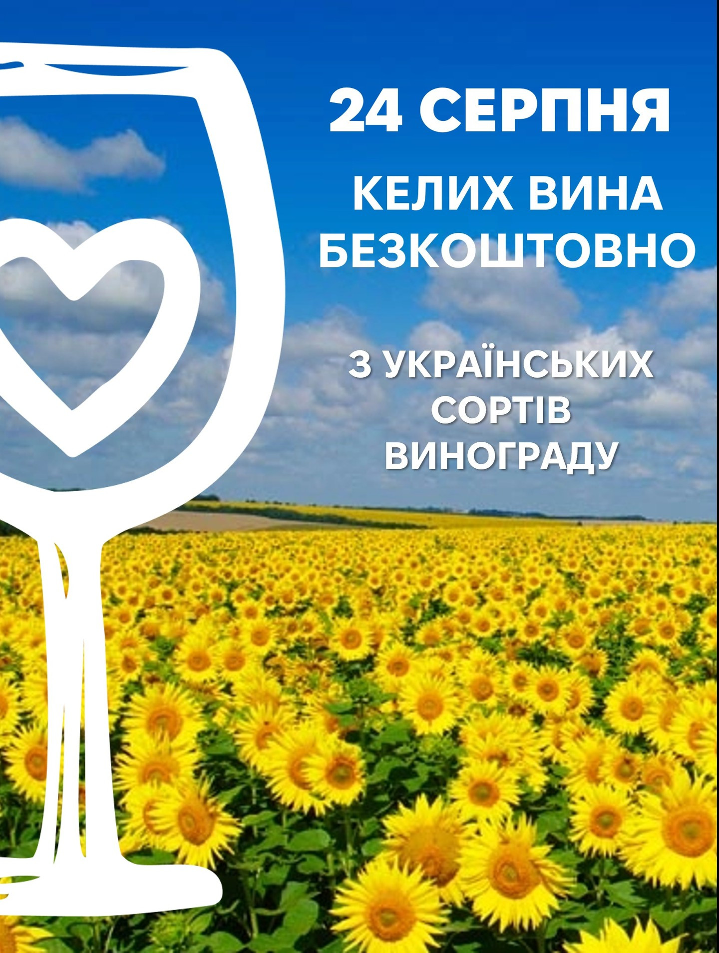 Святкуємо День Незалежності - фото Святкуємо День Незалежності - фото