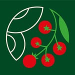 Вечірка у стилі 2000-х з DJ Umanchuk - фото Вечірка у стилі 2000-х з DJ Umanchuk - фото