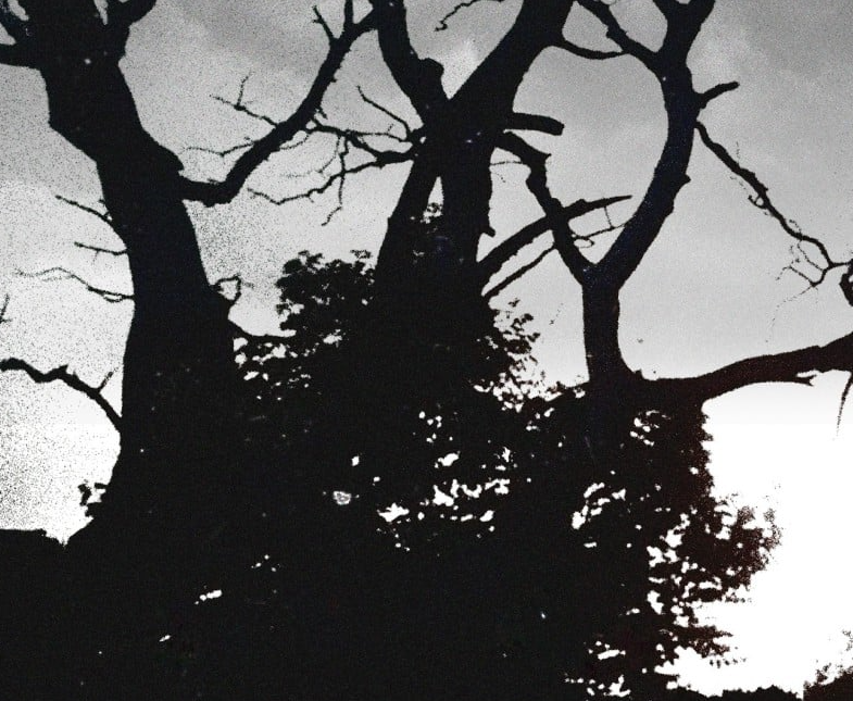 Гурт "ВІЙ" - фото Гурт "ВІЙ" - фото