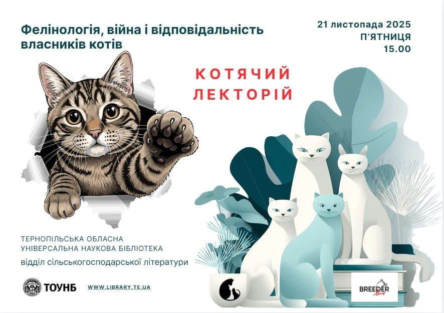 Фелінологія, війна і відповідальність власників котів - фото Фелінологія, війна і відповідальність власників котів - фото