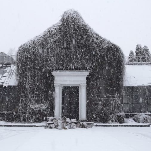 Перегляд фільму "Історія зимового саду" - фото Перегляд фільму "Історія зимового саду" - фото
