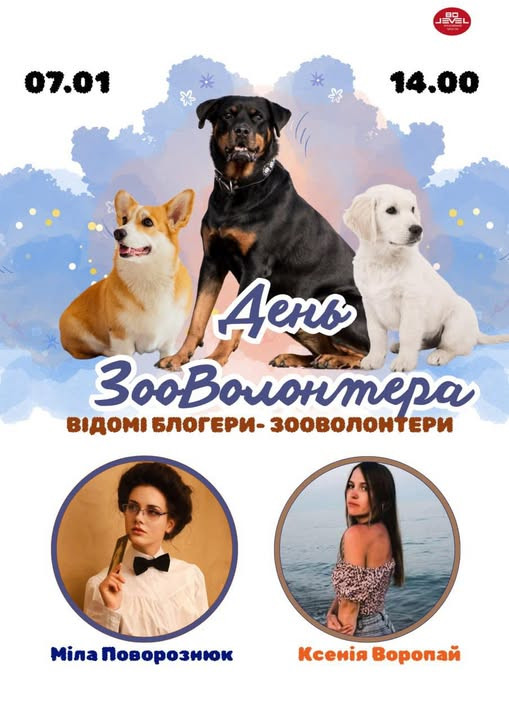 День зооволонтера - фото День зооволонтера - фото