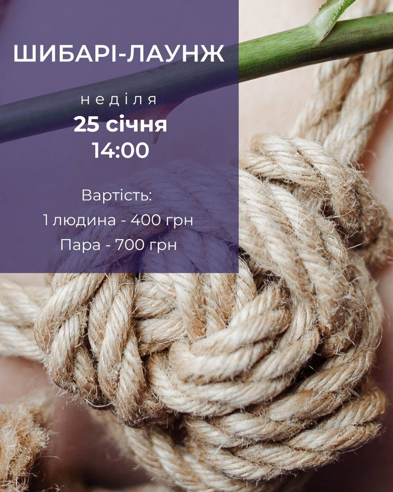 Шибарі-лаунж