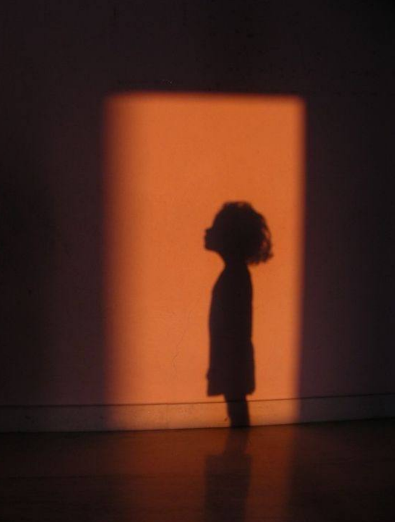 Зустріч "Робота з власною тінню"