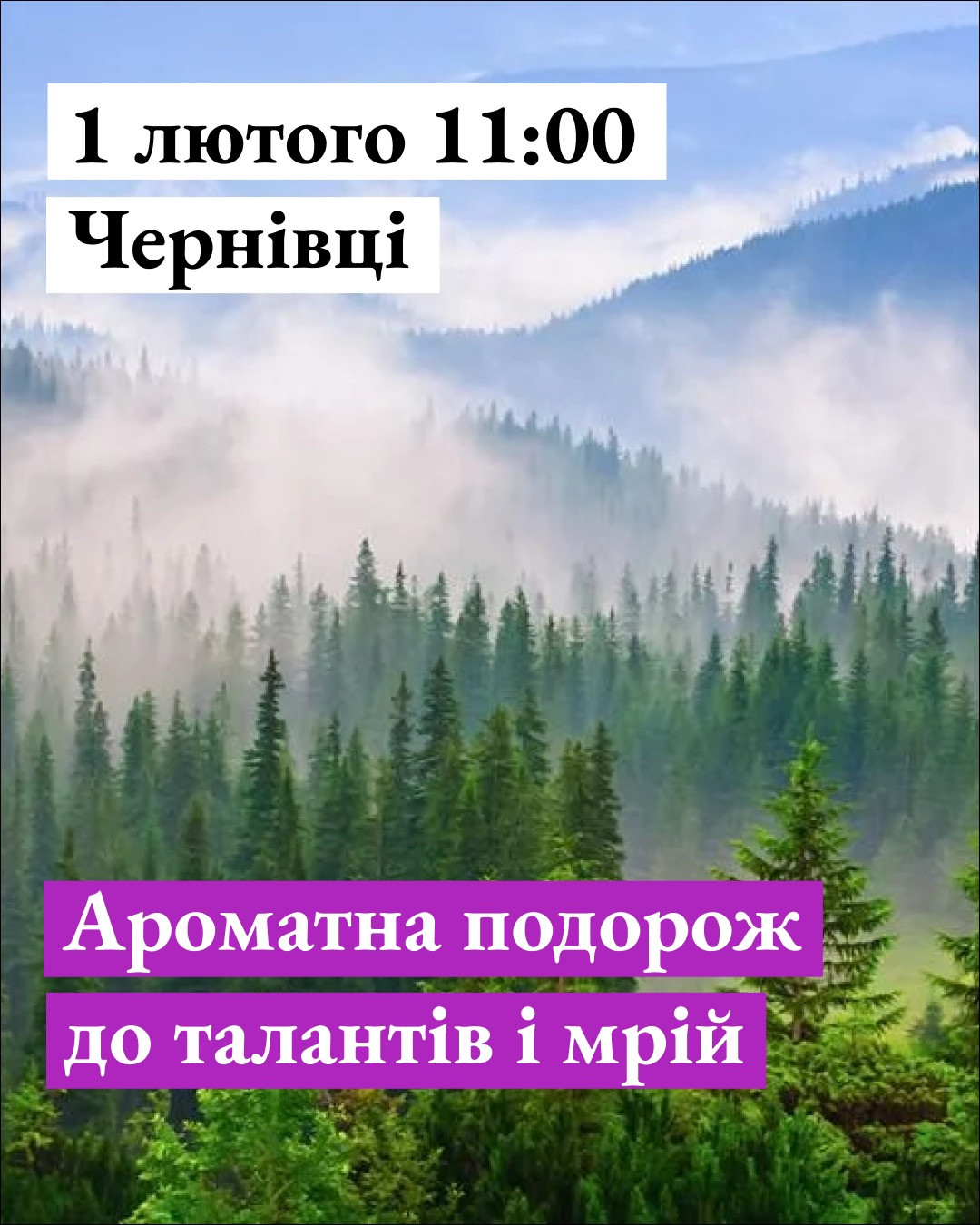 Ароматна подорож до талантів і мрій - фото Ароматна подорож до талантів і мрій - фото