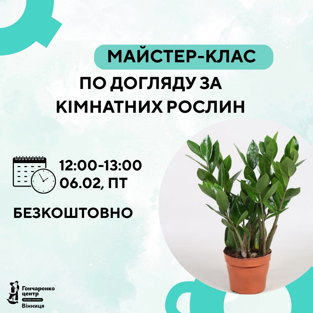 Майстер-клас по догляду за кімнатними рослинами - фото Майстер-клас по догляду за кімнатними рослинами - фото