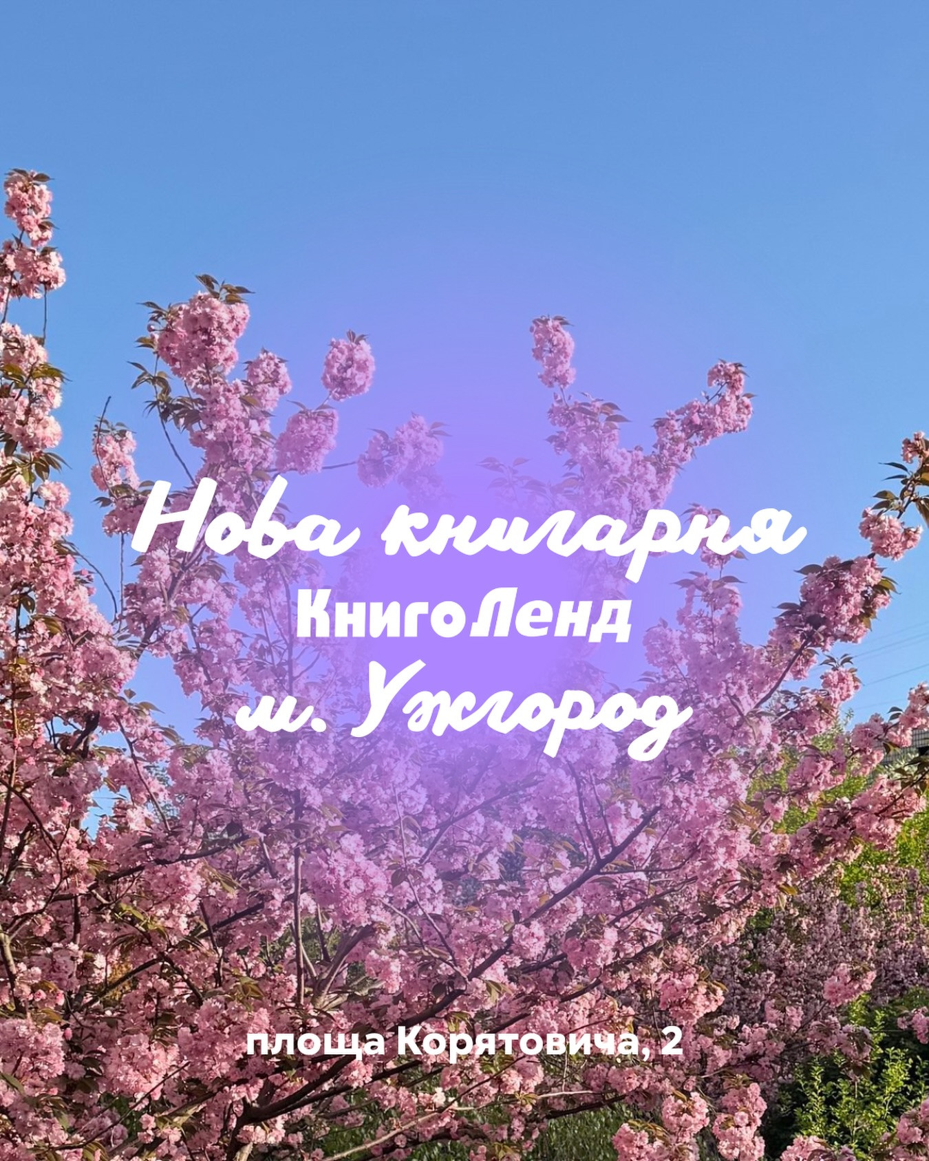 Відкриття книгарні "Книголенд" - фото Відкриття книгарні "Книголенд" - фото