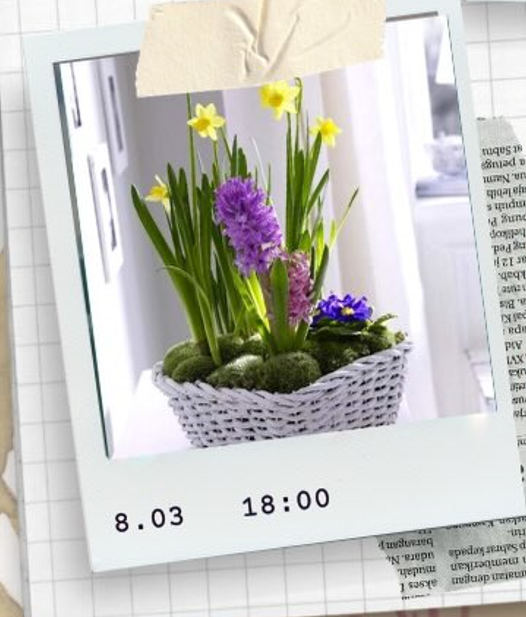 Майстер-клас "Весна в кашпо" - фото Майстер-клас "Весна в кашпо" - фото