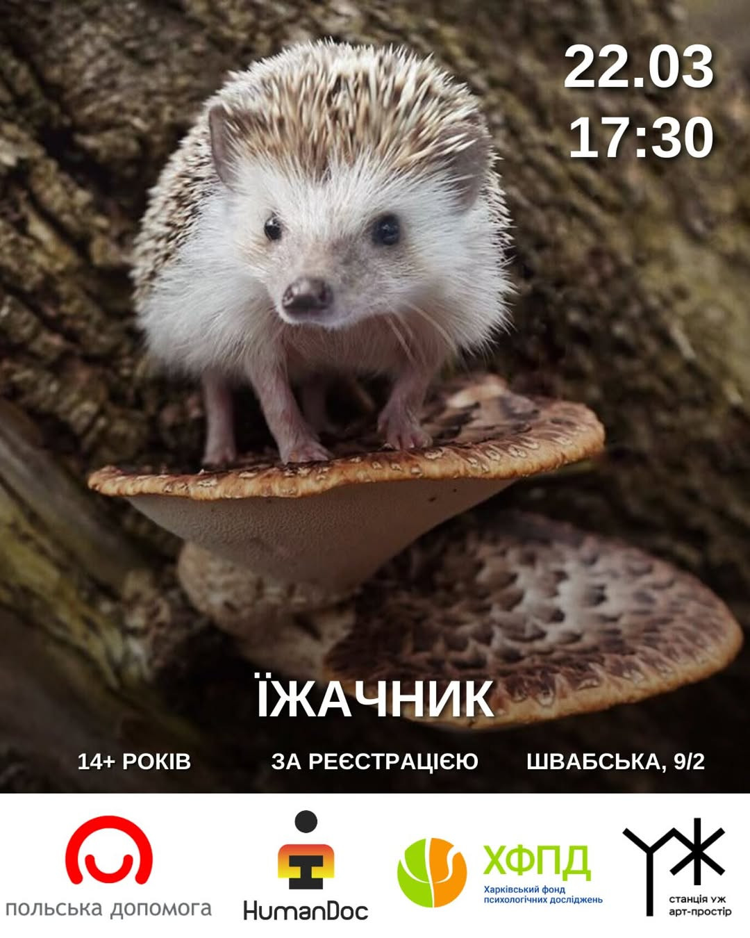 Їжачник - фото Їжачник - фото