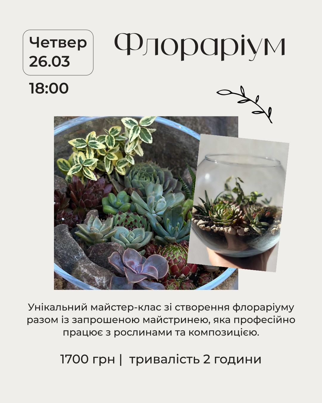 Майстер-клас "Створення флораріуму" - фото Майстер-клас "Створення флораріуму" - фото