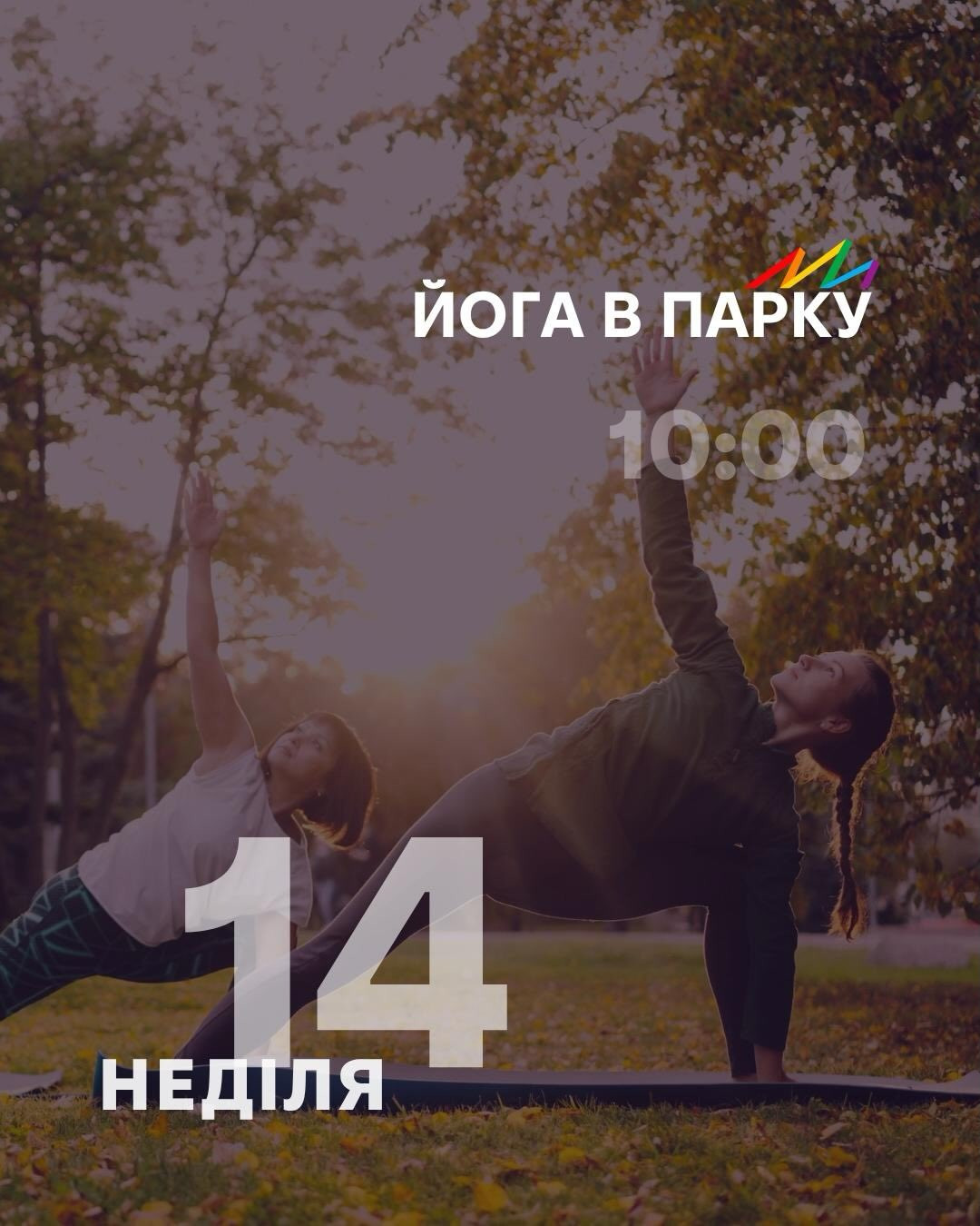 Йога в парку