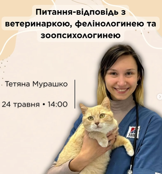 Питання-відповідь із ветеринаркою, фелінологинею та зоопсихологинею Тетяною Мурашко - фото Питання-відповідь із ветеринаркою, фелінологинею та зоопсихологинею Тетяною Мурашко - фото