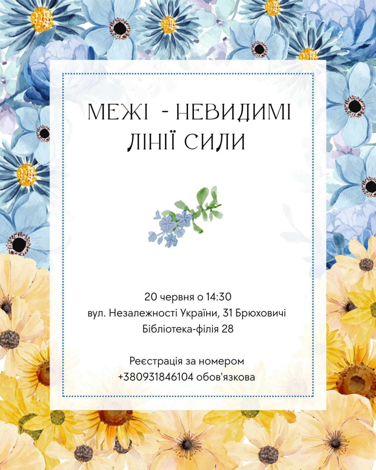 Зустріч "Межі - невидимі лінії сили"