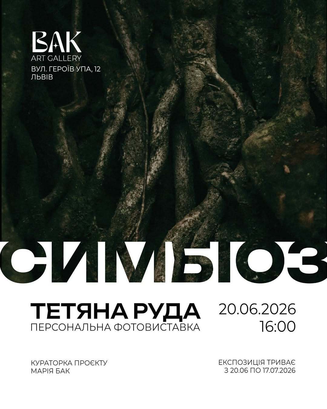 Фотовиставка Тетяни Рудої "Симбіоз"