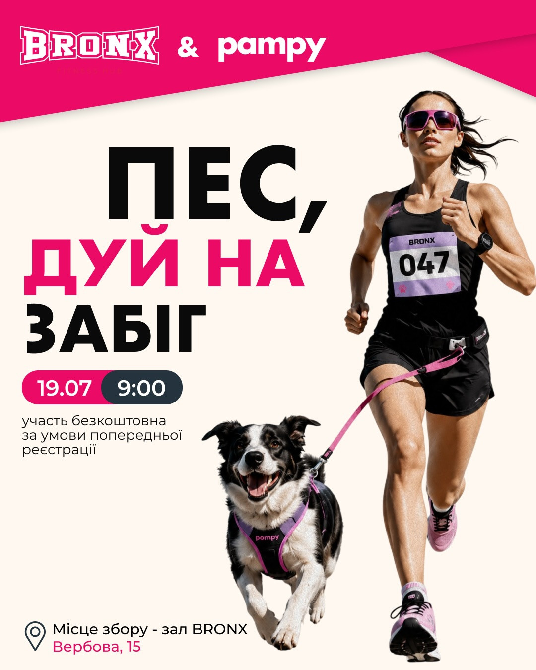 Пес, дуй на забіг - фото Пес, дуй на забіг - фото