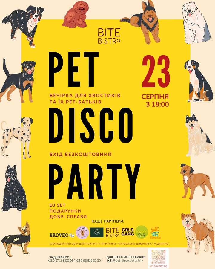 Pet Disco Party - фото Pet Disco Party - фото
