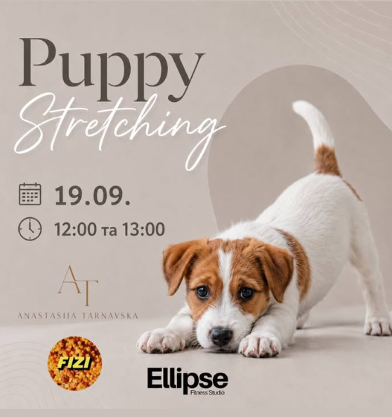 PUPPY STRETCHING - фото PUPPY STRETCHING - фото