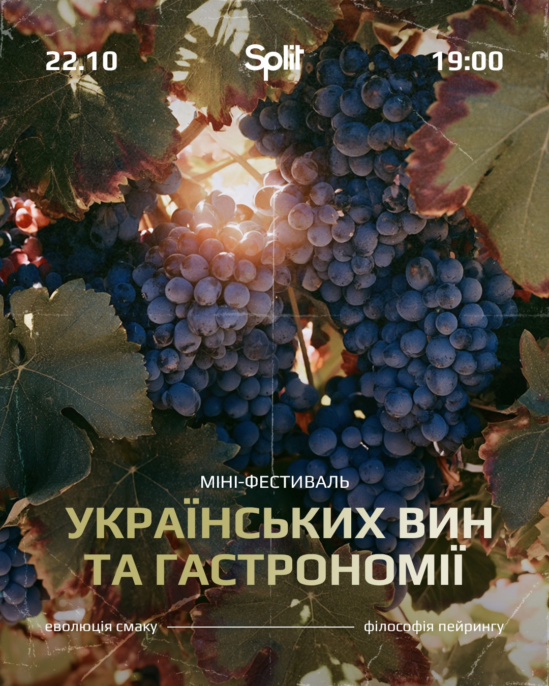 Міні-фестиваль українських вин та гастрономії: еволюція смаку та філософія пейрингу