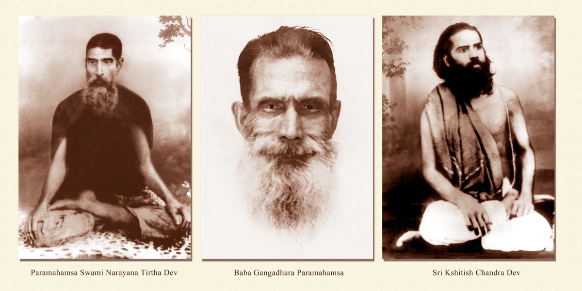 parampara all brown sm