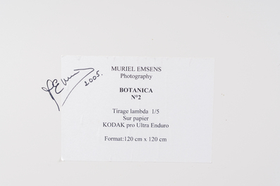 Muriel Emsens (20&egrave;me/21&egrave;me si&egrave;cle): 'Botanica N&deg;2', tirage Lambda sur papier, &eacute;d. 1/5, dat&eacute; 2005