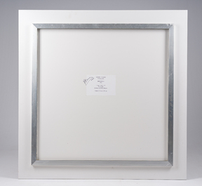 Muriel Emsens (20&egrave;me/21&egrave;me si&egrave;cle): 'Botanica N&deg;2', tirage Lambda sur papier, &eacute;d. 1/5, dat&eacute; 2005