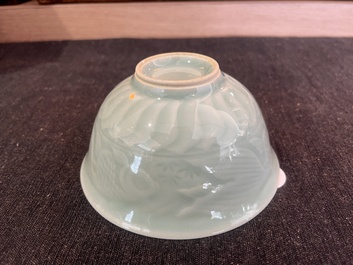 Collection vari&eacute;e en porcelaine de Chine famille rose, noire et monochrome, 19&egrave;me/20&egrave;me si&egrave;cle