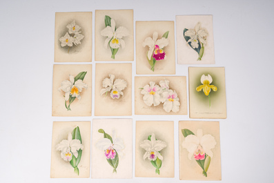 Illegibly signed: 30 studies of orchids, watercolour on paper, dated between 1907 and 1920