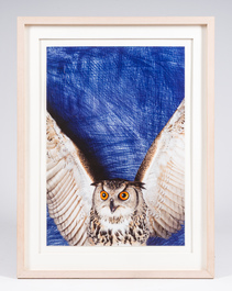 Jan Fabre (1958): Open your heart wide to the body of life, cibachrome druk, ed. 19/45, [1991]