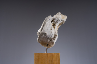 A large whale vertebra mounted on a wooden base, s.d.