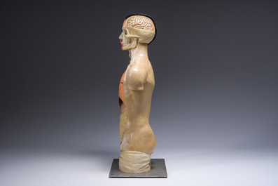 Een Duits handgeschilderd plaasteren anatomisch model, Phywe, tweede derde 20ste eeuw