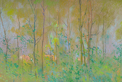 Rodolphe De Saegher (1871-1941): Summer landscape with trees, pastel on paper
