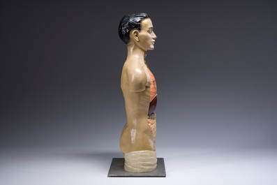 Een Duits handgeschilderd plaasteren anatomisch model, Phywe, tweede derde 20ste eeuw