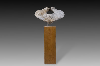 A large whale vertebra mounted on a wooden base, s.d.