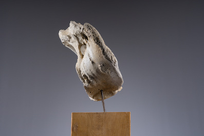 A large whale vertebra mounted on a wooden base, s.d.