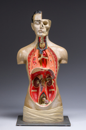 Een Duits handgeschilderd plaasteren anatomisch model, Phywe, tweede derde 20ste eeuw