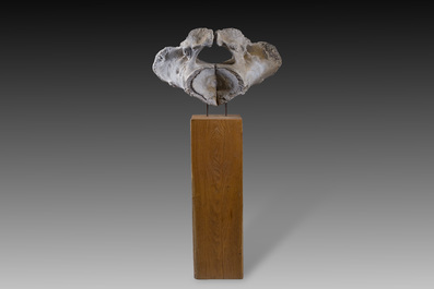 A large whale vertebra mounted on a wooden base, s.d.