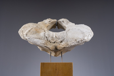 A large whale vertebra mounted on a wooden base, s.d.