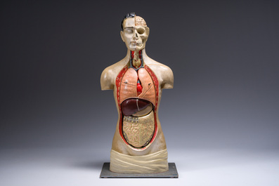 Een Duits handgeschilderd plaasteren anatomisch model, Phywe, tweede derde 20ste eeuw