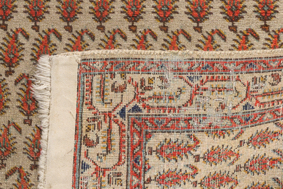 Three oriental rugs, a.o. Shirvan and Sparta, wool on cotton, third quarter 20th C.