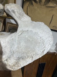 A large whale vertebra mounted on a wooden base, s.d.