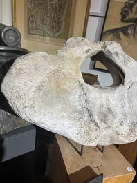 A large whale vertebra mounted on a wooden base, s.d.