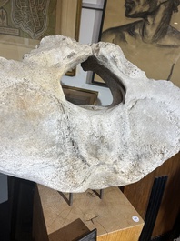A large whale vertebra mounted on a wooden base, s.d.
