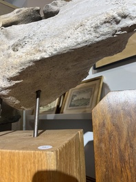 A large whale vertebra mounted on a wooden base, s.d.