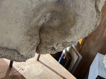 A large whale vertebra mounted on a wooden base, s.d.
