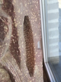 A large Indian red sandstone stupa pillar with a devata shown as a woman and lotus flowers, probably Matura region, ca. 2nd C. b.C - 2nd C.