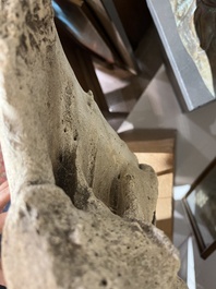 A large whale vertebra mounted on a wooden base, s.d.