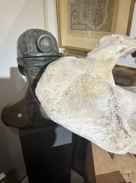 A large whale vertebra mounted on a wooden base, s.d.